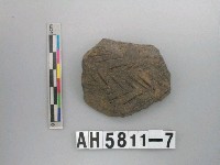 藏品(灰黑色夾砂陶片)的圖片